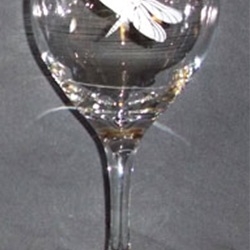 etched wine glass with dragonfly design